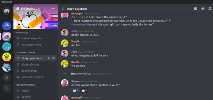 Cross Out Text In Discord